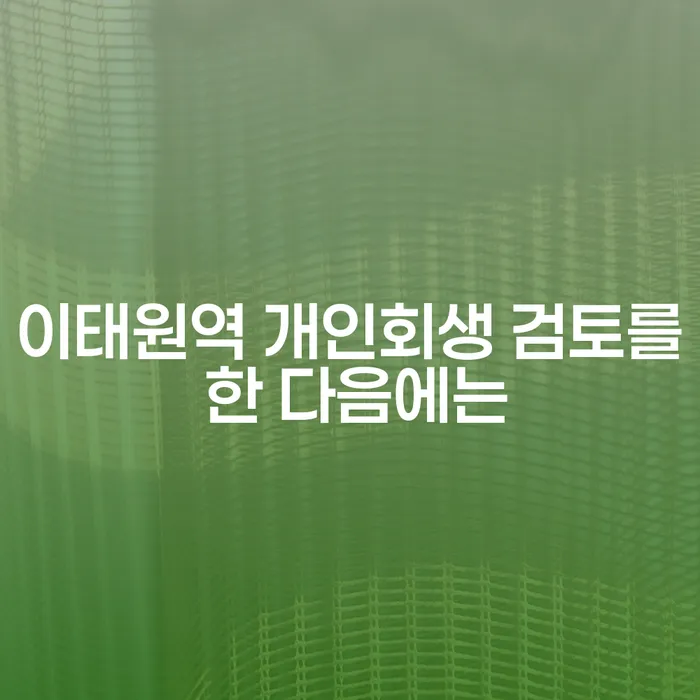이태원역 개인회생 검토를 한 다음에는
